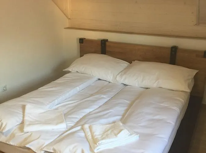 Mini-hotel Megora * Рахов