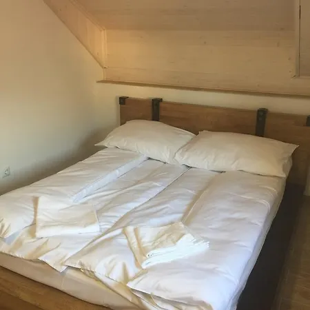 Mini-hotel Megora * Rachiv