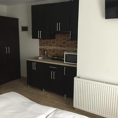 Mini-hotel Megora Rachiv