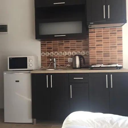 Värdshus Mini-hotel Megora Rachiv